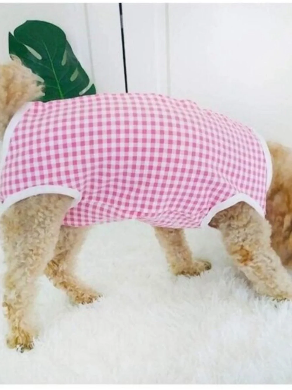 Kukaster Pet Recovery Suit Post Surgery for Puppy Size XS